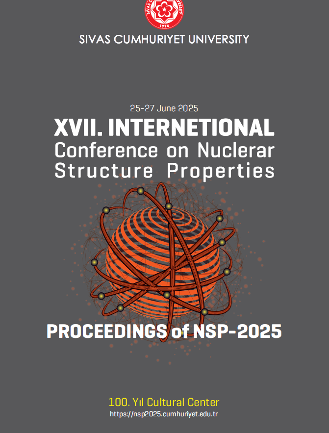 17Th International Conference On Nuclear Structure Properties Proceedings Of Nsp-2025