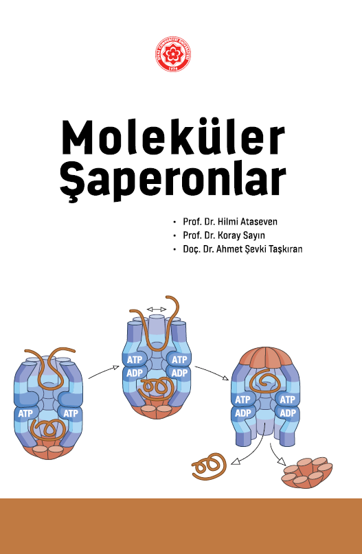 Moleküler Şaperonlar