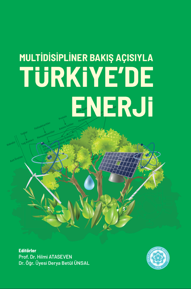 Multidisipliner Bakış Açısıyla Türkiye'de Enerji