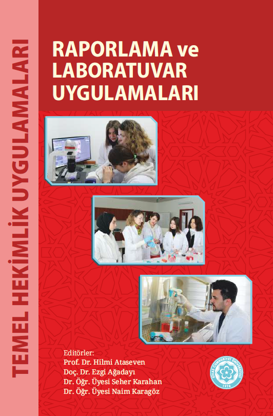 Raporlama Ve Laboratuvar Uygulamaları