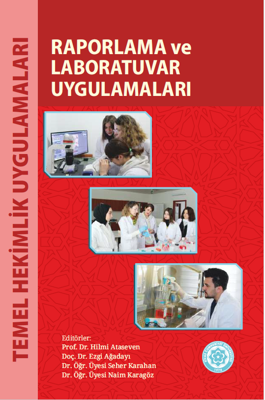 Raporlama Ve Laboratuvar Uygulamaları